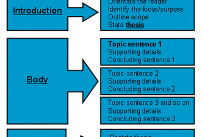 Academic essay structure. Structure body paragraph for linegraph.